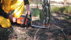 Soil Testing and Treatment in Wheatland, WY
